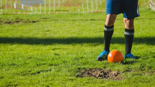 MK体育APP产品预览